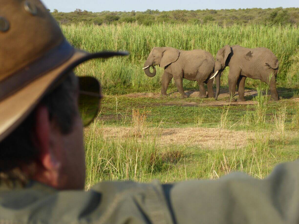 Epic Safari
